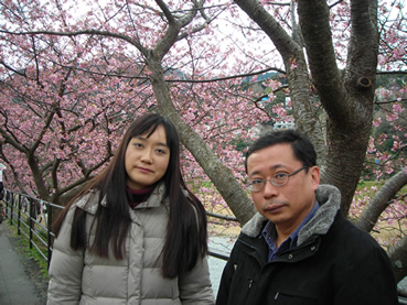 川津桜を見に、婚約者とふたり伊豆旅行へ。