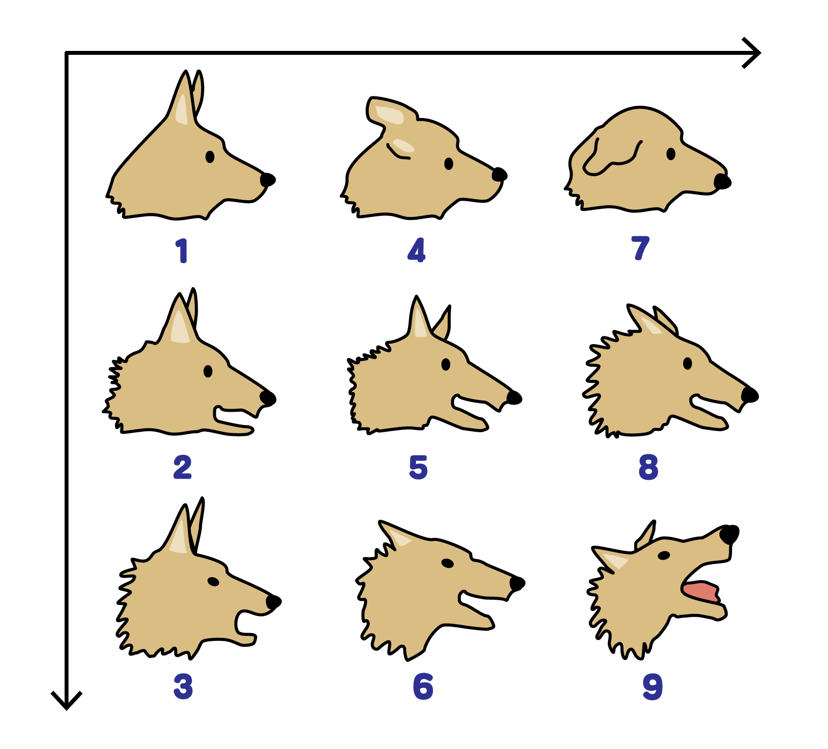 犬 の しっぽ 感情
